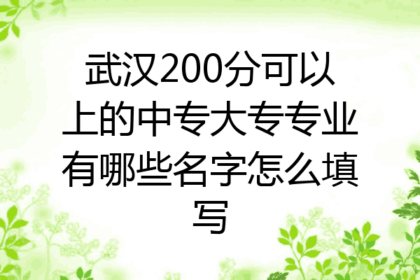 武汉200分可以上的中专大专专业有哪些名字怎么填写