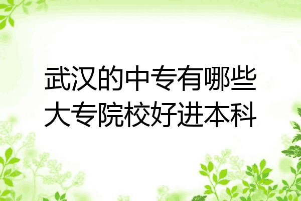 武汉的中专有哪些大专院校好进本科