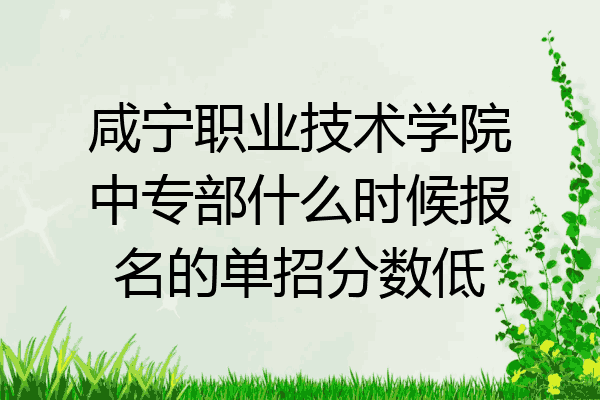 咸宁职业技术学院中专部什么时候报名的单招分数低
