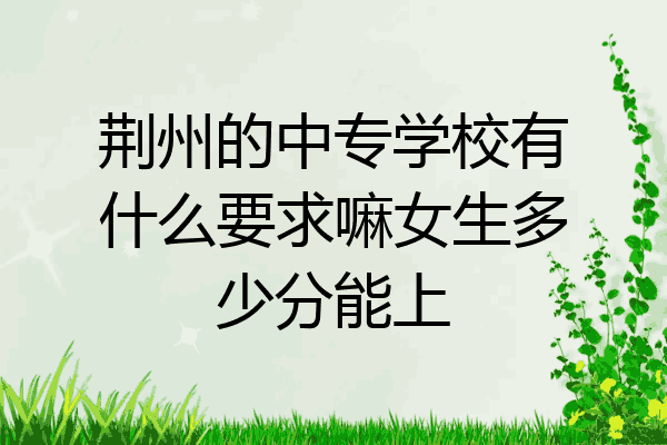 荆州的中专学校有什么要求嘛女生多少分能上