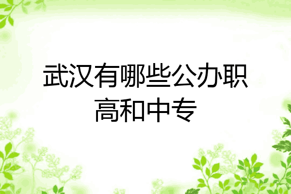 武汉有哪些公办职高和中专