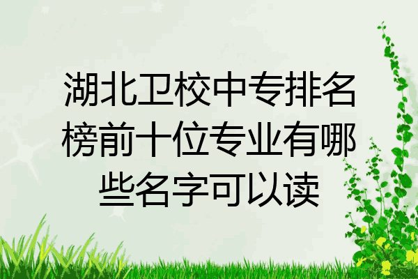 湖北卫校中专排名榜前十位专业有哪些名字可以读
