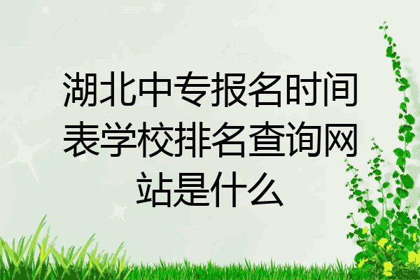 湖北中专报名时间表学校排名查询网站是什么