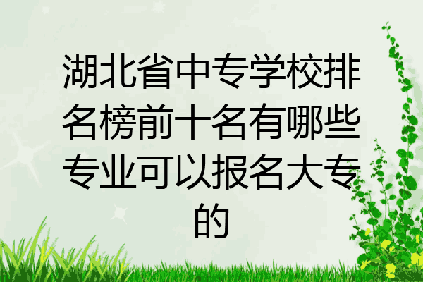 湖北省中专学校排名榜前十名有哪些专业可以报名大专的