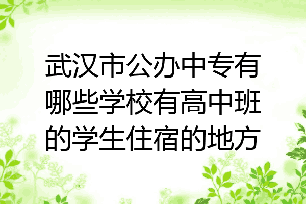 武汉市公办中专有哪些学校有高中班的学生住宿的地方