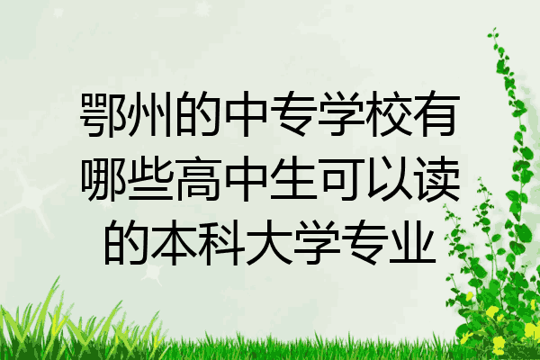 鄂州的中专学校有哪些高中生可以读的本科大学专业