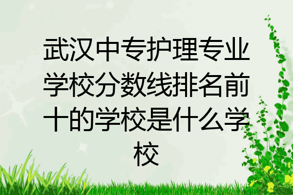 武汉中专护理专业学校分数线排名前十的学校是什么学校