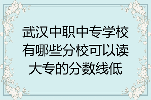 武汉中职中专学校有哪些分校可以读大专的分数线低