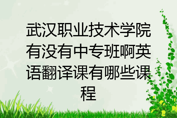 武汉职业技术学院有没有中专班啊英语翻译课有哪些课程