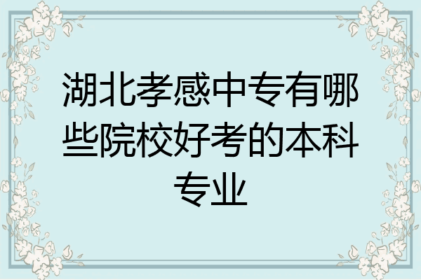 湖北孝感中专有哪些院校好考的本科专业