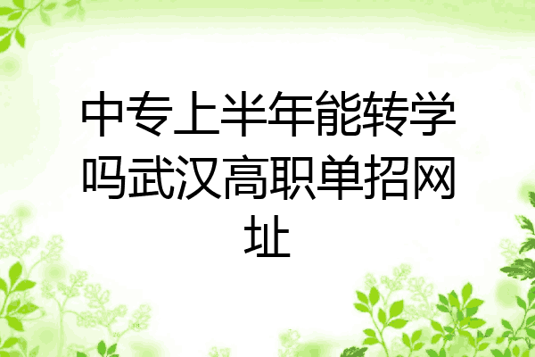 中专上半年能转学吗武汉高职单招网址
