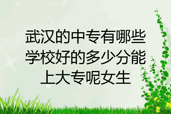 武汉的中专有哪些学校好的多少分能上大专呢女生