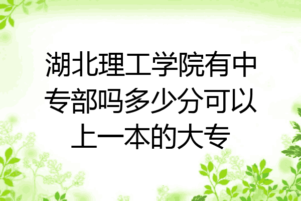 湖北理工学院有中专部吗多少分可以上一本的大专