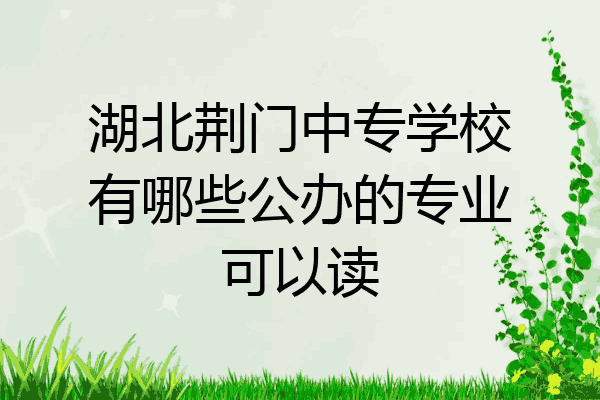 湖北荆门中专学校有哪些公办的专业可以读