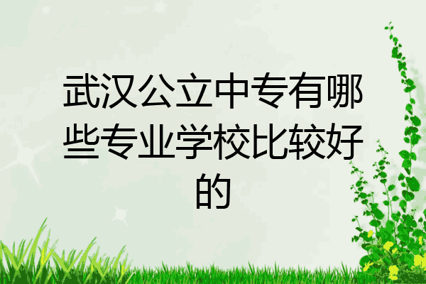 武汉公立中专有哪些专业学校比较好的
