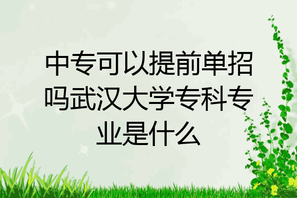 中专可以提前单招吗武汉大学专科专业是什么