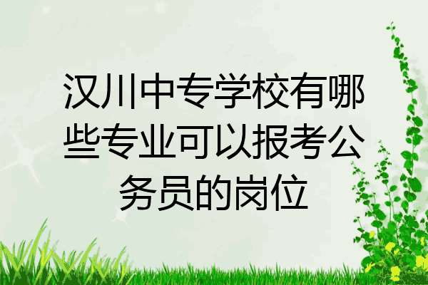 汉川中专学校有哪些专业可以报考公务员的岗位