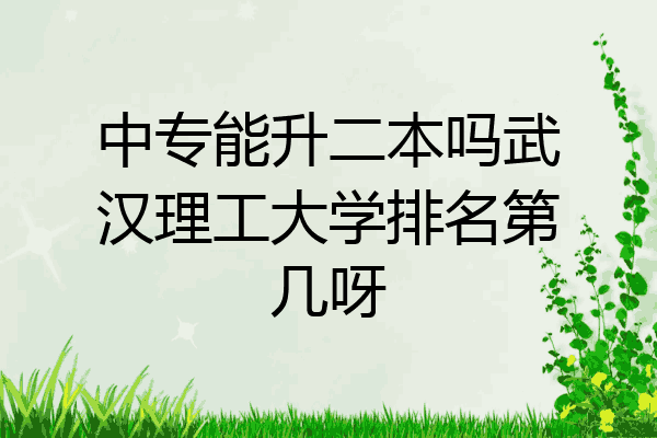 中专能升二本吗武汉理工大学排名第几呀