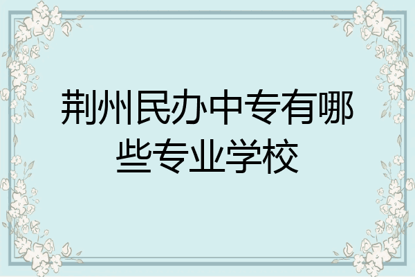 荆州民办中专有哪些专业学校