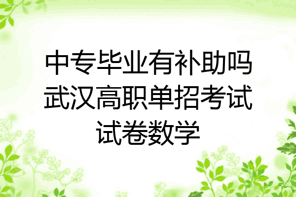 中专毕业有补助吗武汉高职单招考试试卷数学