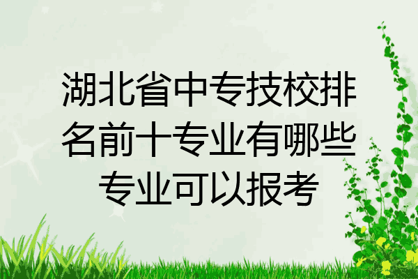 湖北省中专技校排名前十专业有哪些专业可以报考
