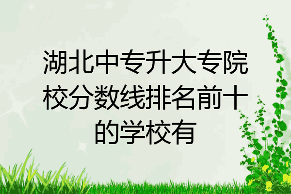 湖北中专升大专院校分数线排名前十的学校有