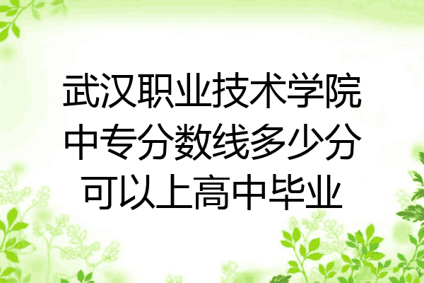 武汉职业技术学院中专分数线多少分可以上高中毕业