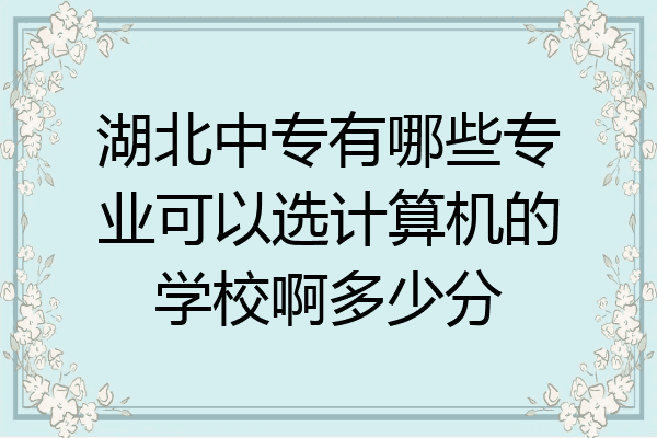湖北中专有哪些专业可以选计算机的学校啊多少分