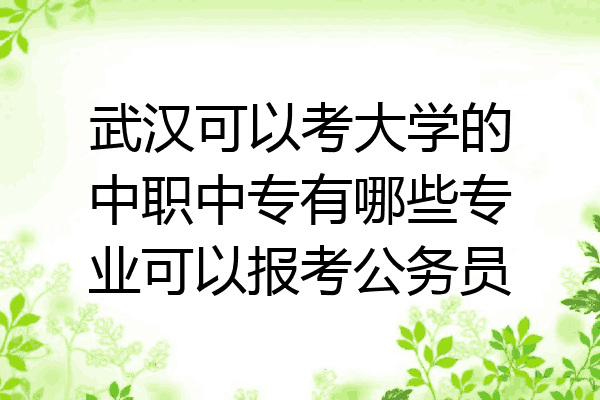武汉可以考大学的中职中专有哪些专业可以报考公务员