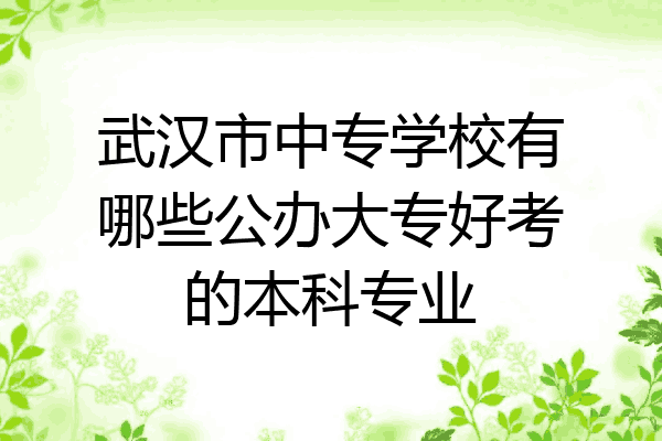 武汉市中专学校有哪些公办大专好考的本科专业