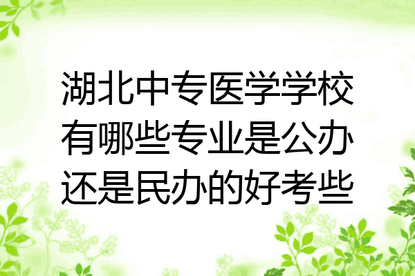 湖北中专医学学校有哪些专业是公办还是民办的好考些