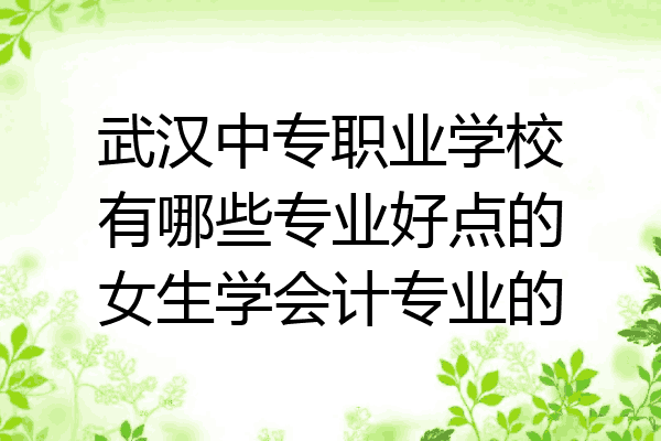 武汉中专职业学校有哪些专业好点的女生学会计专业的