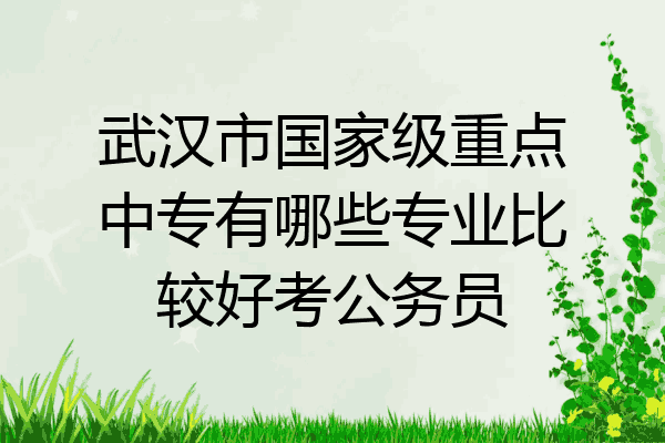 武汉市国家级重点中专有哪些专业比较好考公务员
