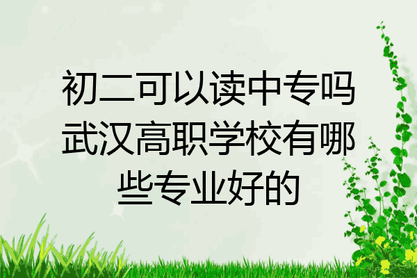 初二可以读中专吗武汉高职学校有哪些专业好的