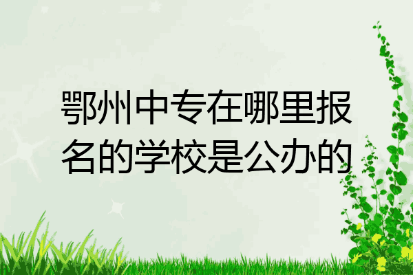 鄂州中专在哪里报名的学校是公办的