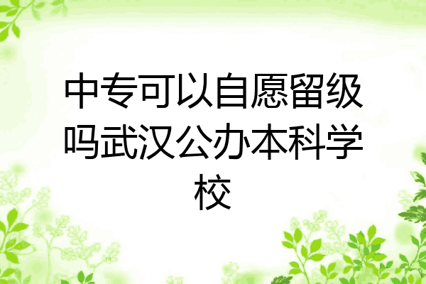 中专可以自愿留级吗武汉公办本科学校