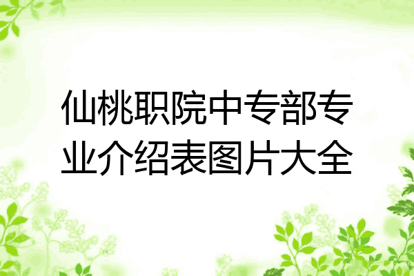 仙桃职院中专部专业介绍表图片大全