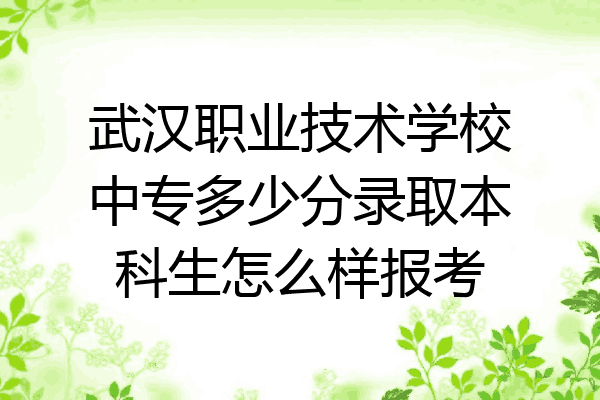 武汉职业技术学校中专多少分录取本科生怎么样报考