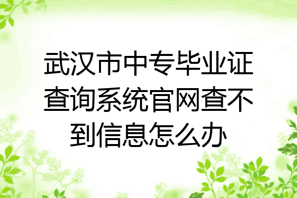 武汉市中专毕业证查询系统官网查不到信息怎么办