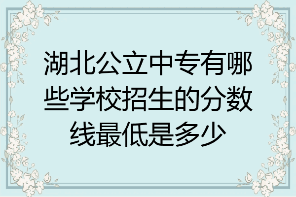 湖北公立中专有哪些学校招生的分数线最低是多少
