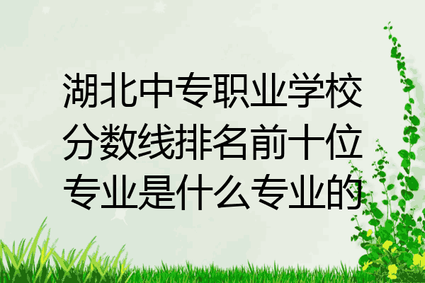 湖北中专职业学校分数线排名前十位专业是什么专业的