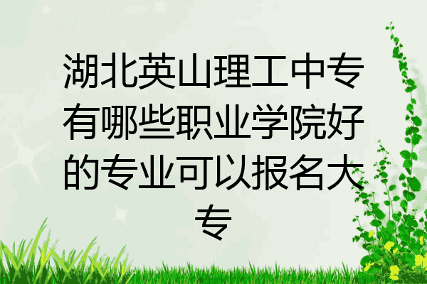 湖北英山理工中专有哪些职业学院好的专业可以报名大专