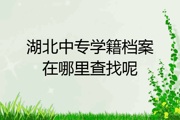 湖北中专学籍档案在哪里查找呢