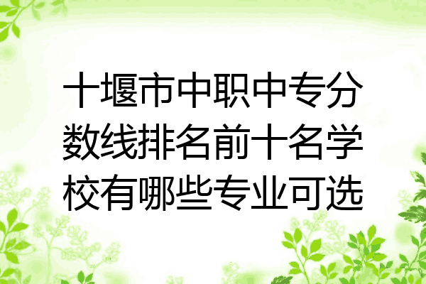 十堰市中职中专分数线排名前十名学校有哪些专业可选