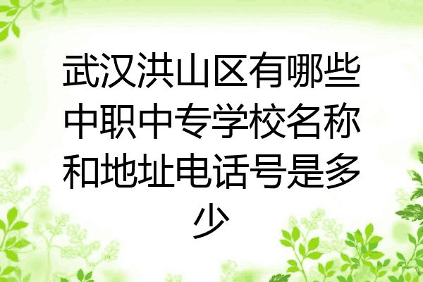 武汉洪山区有哪些中职中专学校名称和地址电话号是多少