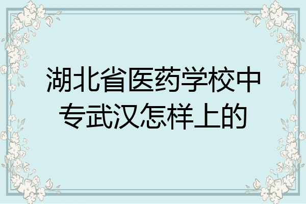 湖北省医药学校中专武汉怎样上的
