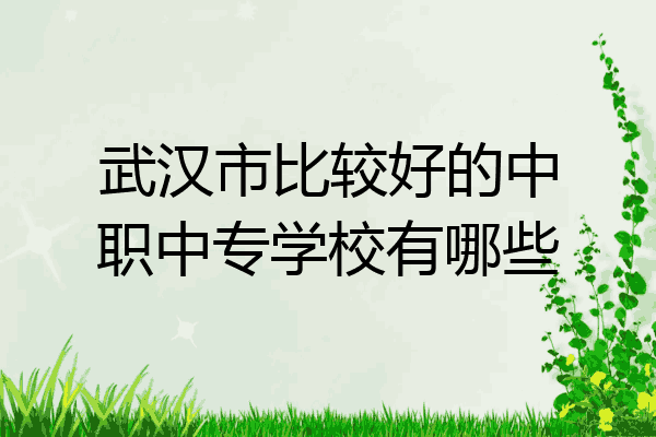 武汉市比较好的中职中专学校有哪些