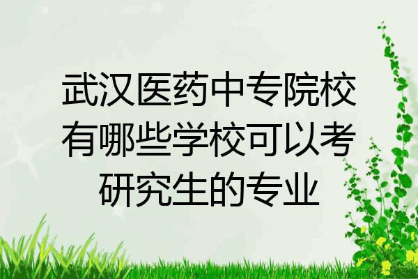 武汉医药中专院校有哪些学校可以考研究生的专业