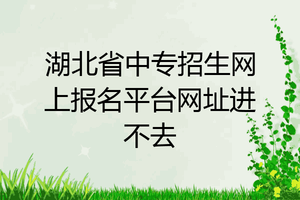 湖北省中专招生网上报名平台网址进不去