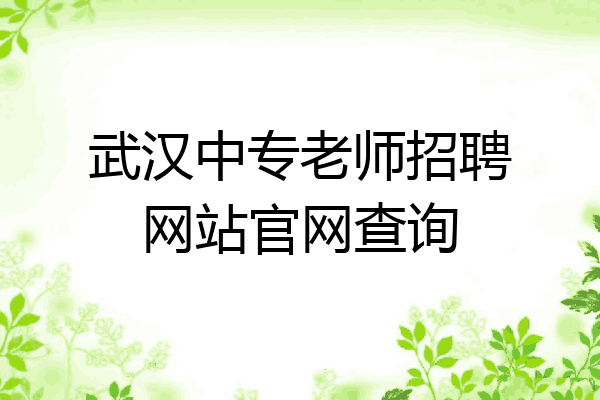 武汉中专老师招聘网站官网查询